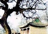 菏泽冉子仲弓祠