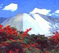 兰家火山