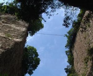 高山国家森林公园