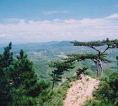 忠山