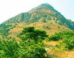 大黑山森林公园