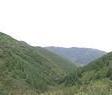 固原灯盏山