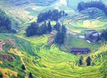 新化紫鹊界梯田