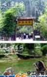 长阳五爪观