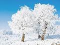 中国太和旅行社有限公司