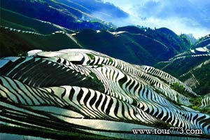 龙脊梯田
