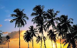 海南纯净之旅双飞六日游★★★★★百分佰国旅