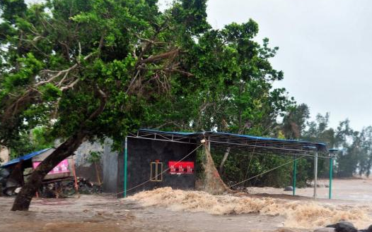 台风海鸥最新消息
