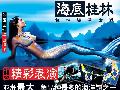 海报