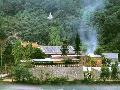 大垌山净业寺