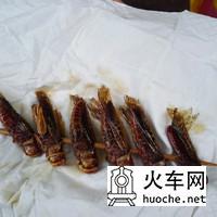 丽江之行-留住的美丽9